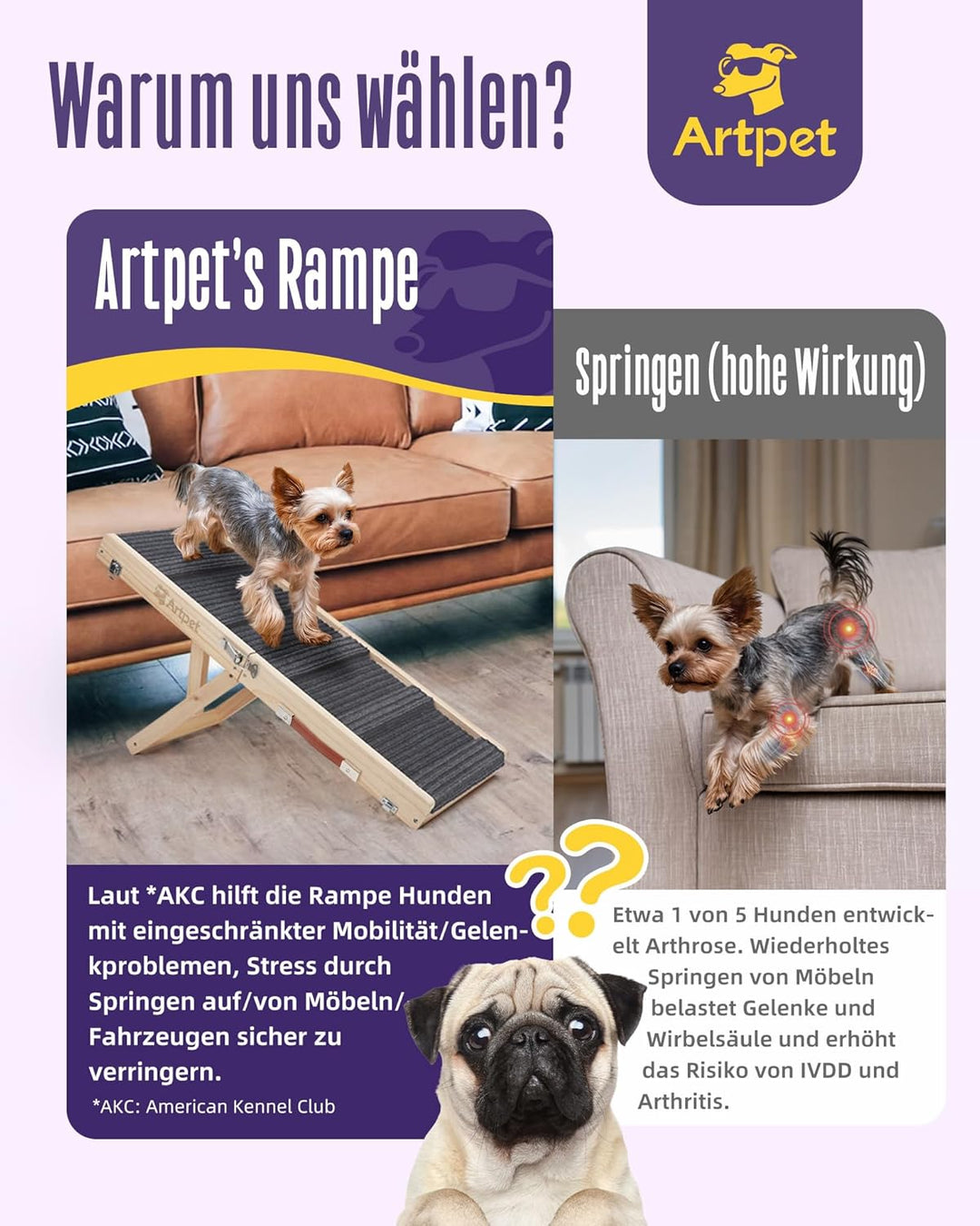 Artpet Hunderampe für Sofa Bett Klappbar Rampe Klappbar für kleine Hunde Katzen Einstellbar 34-53 cm