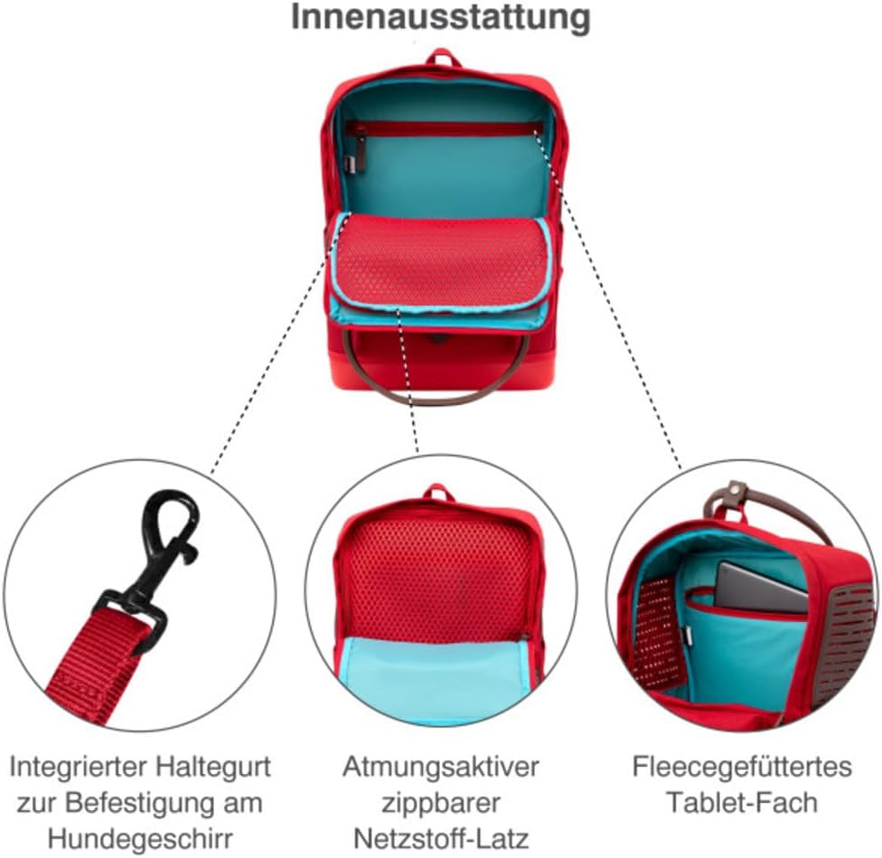 Kurgo Nomad Carrier Rucksack - Flugzeugtaugliche Hundetasche - Leichter Rucksack für Haustiere mit w