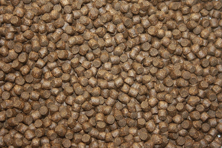 Tomodachi Herbstfutter für Koi Koifutter für den Herbst, langsam sinkend und energiereich, 10kg