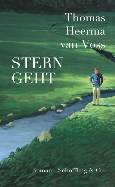 Stern geht: Roman, Gebundenes Buch
