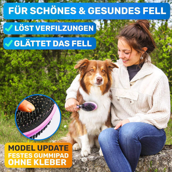 BluePet 2in1 Hundebürste für Langhaar & Kurzhaar Auch für Welpen & Katzen I Glätten, Entwirren, Ausb