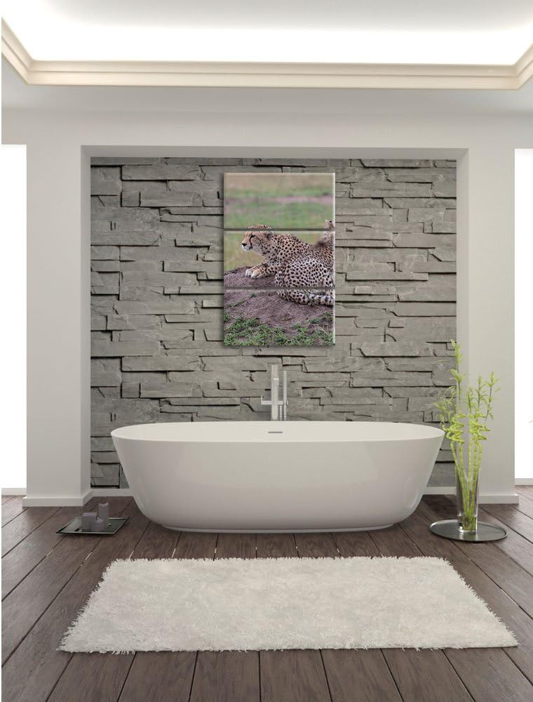 Pixxprint prächtige Geparden auf Stein / 3-Teilig/Gesamtmass 120cm Leinwandbild bespannt auf Holzrah
