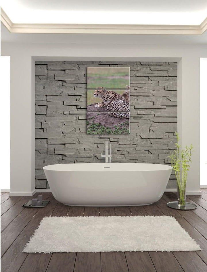 Pixxprint prächtige Geparden auf Stein / 3-Teilig/Gesamtmass 120cm Leinwandbild bespannt auf Holzrah
