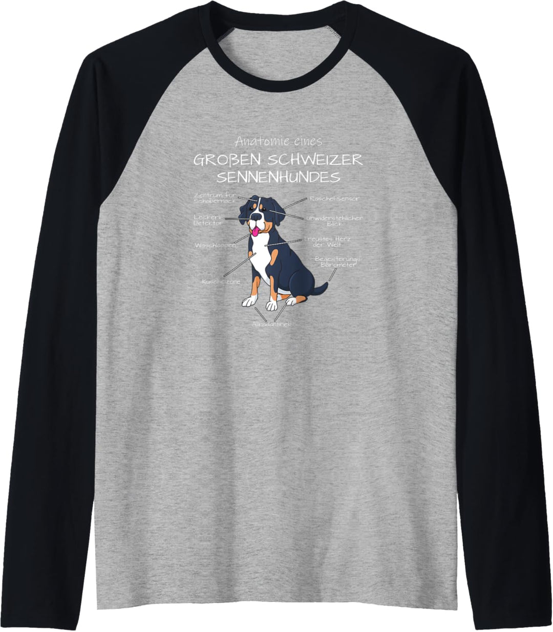 Grosser Schweizer Sennenhund Anatomie | Schweizer Sennenhund Raglan