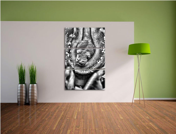 Pixxprint Monocrome, Grüne giftige Schlange 3-Teiler Leinwandbild 120x80 Bild auf Leinwand