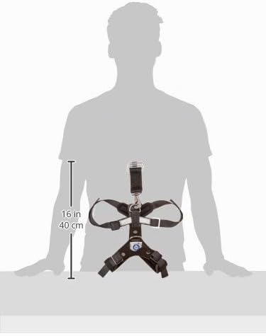 KLEINMETALL 15380100 Allsafe Gürtel der Sicherheit für Hunde, S, S
