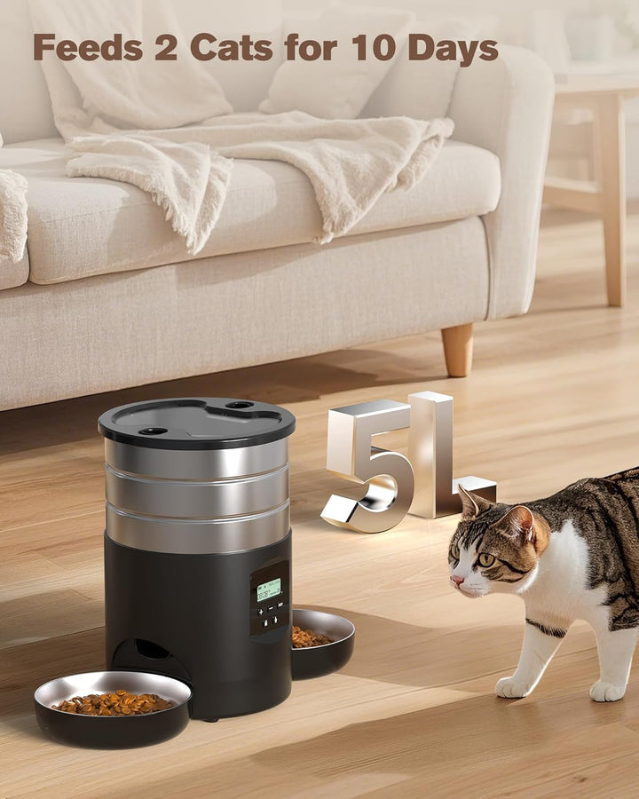 Futterautomat Katze 2 Näpfe Katzenfutter Automat: Edelstahl Futterspender Katze Programmierbarem Tim