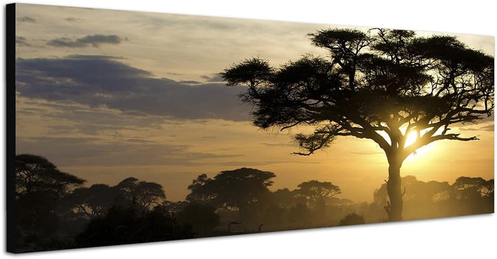 Paul Sinus Art Panoramabild auf Leinwand und Keilrahmen 150x50cm Afrika Landschaft Bäume Sonnenunter