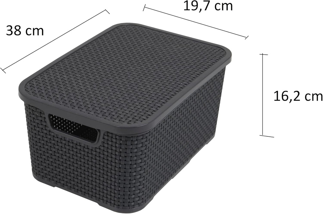 BranQ - Home essential Deckel Korb in Rattan Design 2er Set Grösse L 19l, Kunststoff PP, Anthrazit,