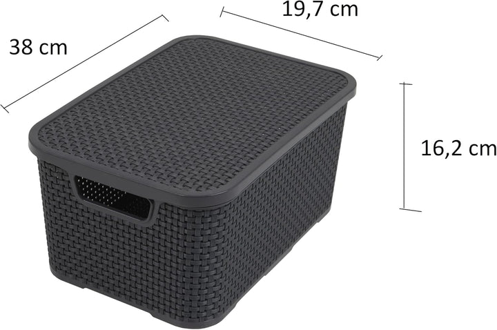 BranQ - Home essential Deckel Korb in Rattan Design 2er Set Grösse L 19l, Kunststoff PP, Anthrazit,