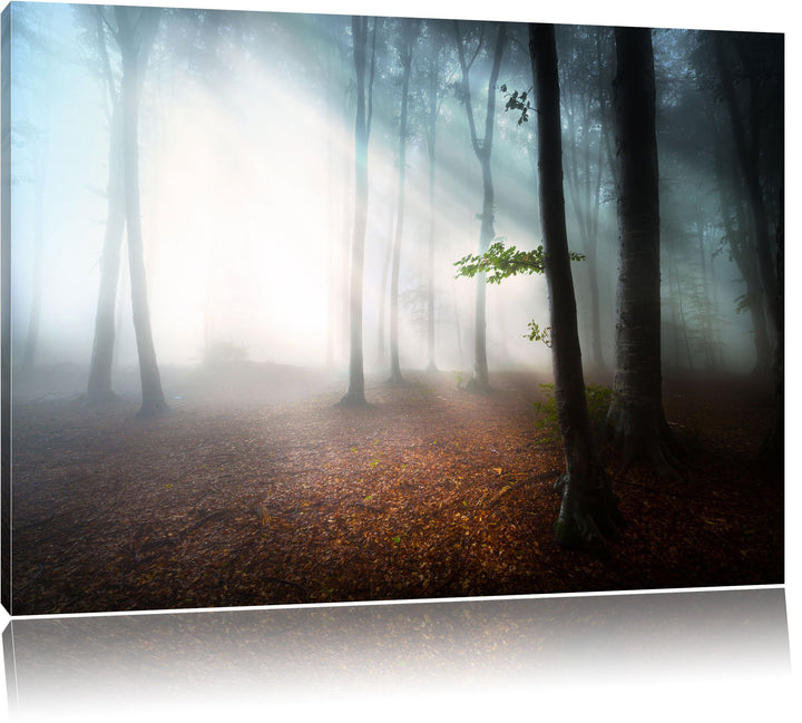 Düsterer Wald im Nebel, Format: 100x70 auf Leinwand, XXL riesige Bilder fertig gerahmt mit Keilrahme