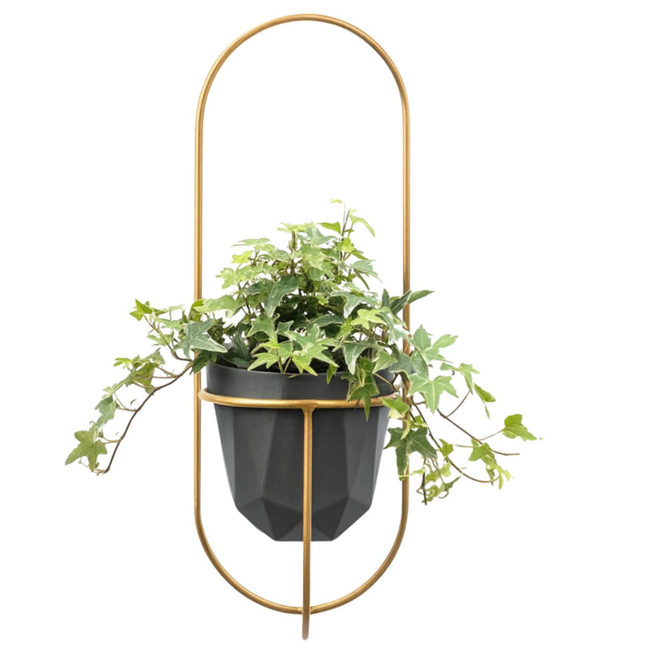 Pflanzregal Wand - Blumenhalter Hängend - aus Metall, Moderne Wand Deko für Wohnzimmer, Jugendzimmer
