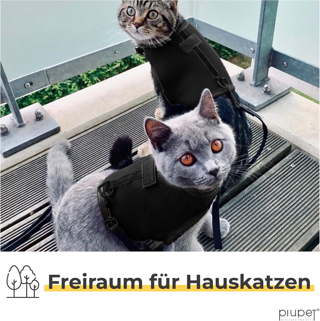 PiuPet® Katzengeschirr (S) Mit 1,2m Leine | Ausbruchsicher | Geschirr für Katzen | Katzenleine | Sch
