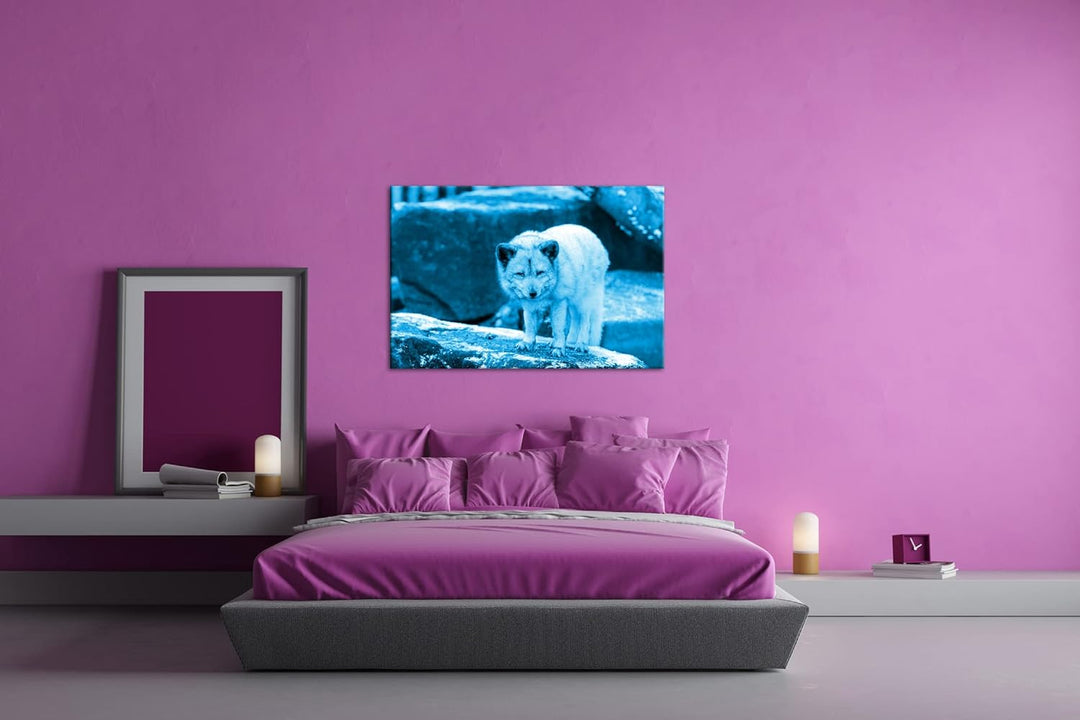 deyoli Atemberaubender Polarfuchs Format 80x60 Effekt: Monocrome Blau als Leinwandbild, Motiv fertig