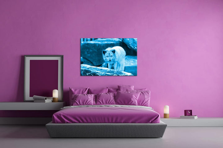 deyoli Atemberaubender Polarfuchs Format 80x60 Effekt: Monocrome Blau als Leinwandbild, Motiv fertig
