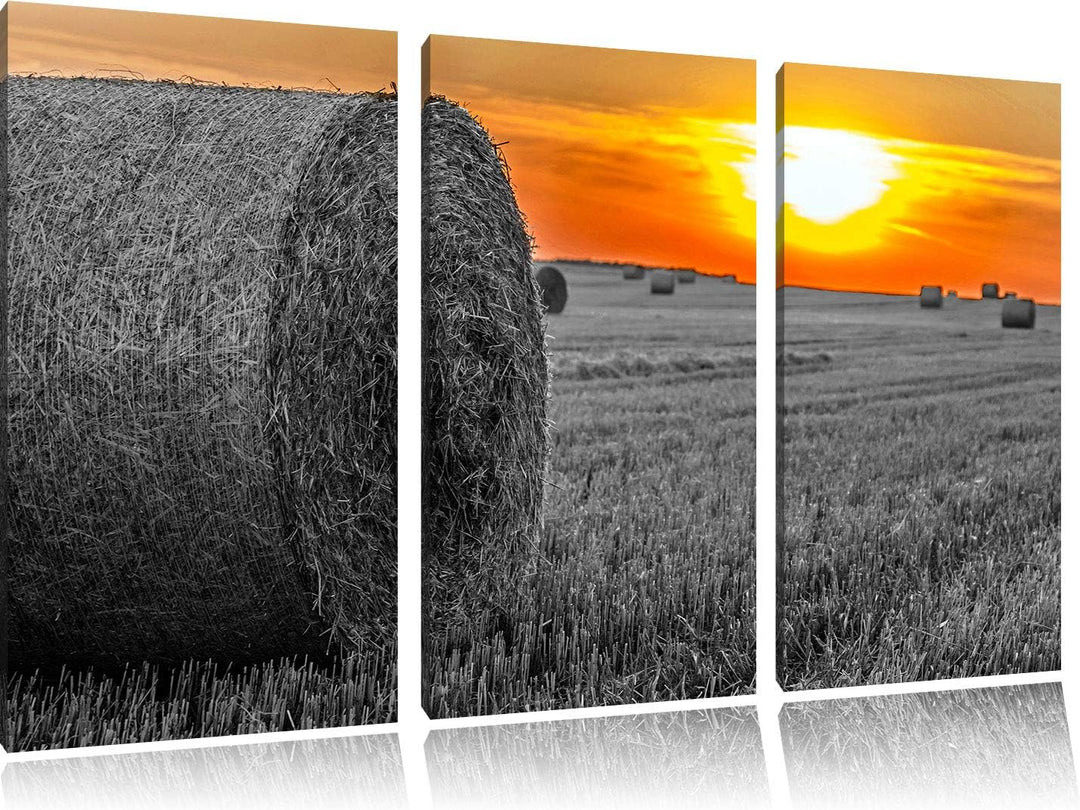Strohballen auf Feld bei Sonnenuntergang schwarz/weiss 3-Teiler Leinwandbild 120x80 Bild auf Leinwan