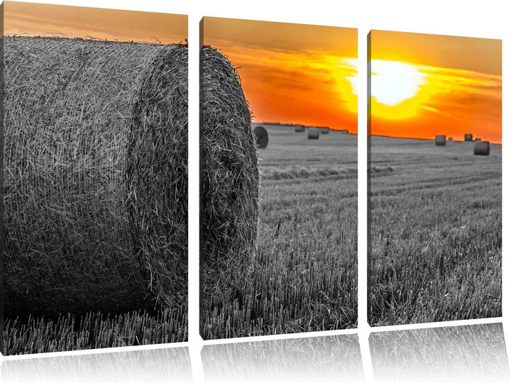Strohballen auf Feld bei Sonnenuntergang schwarz/weiss 3-Teiler Leinwandbild 120x80 Bild auf Leinwan