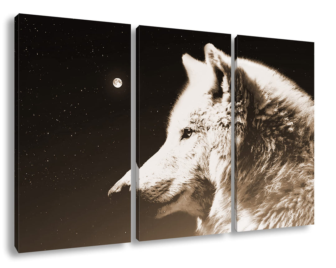 deyoli einsamer stolzer Wolf Format: 3Teilig Effekt: Sepia als Leinwandbild, Motiv fertig gerahmt au