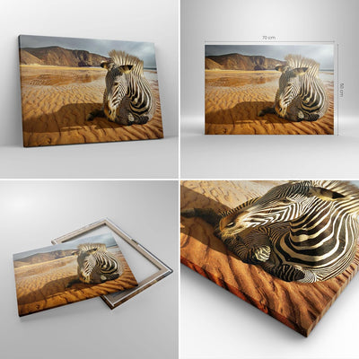 ARTTOR Bilder auf Leinwand Zebra Strand Landschaft Leinwandbild 70x50cm Wandbilder Dekoration Wohnzi