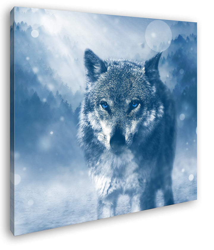 deyoli Stolzer Wolf Format: 60x60 als Leinwand, Motiv fertig gerahmt auf Echtholzrahmen, Hochwertige