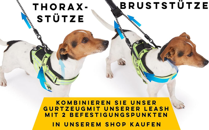 Hundegeschirr mit 3 Metallösen zur Befestigung Ihrer Brust oder Ihres Brustgurts, um Ihren Hals Nich
