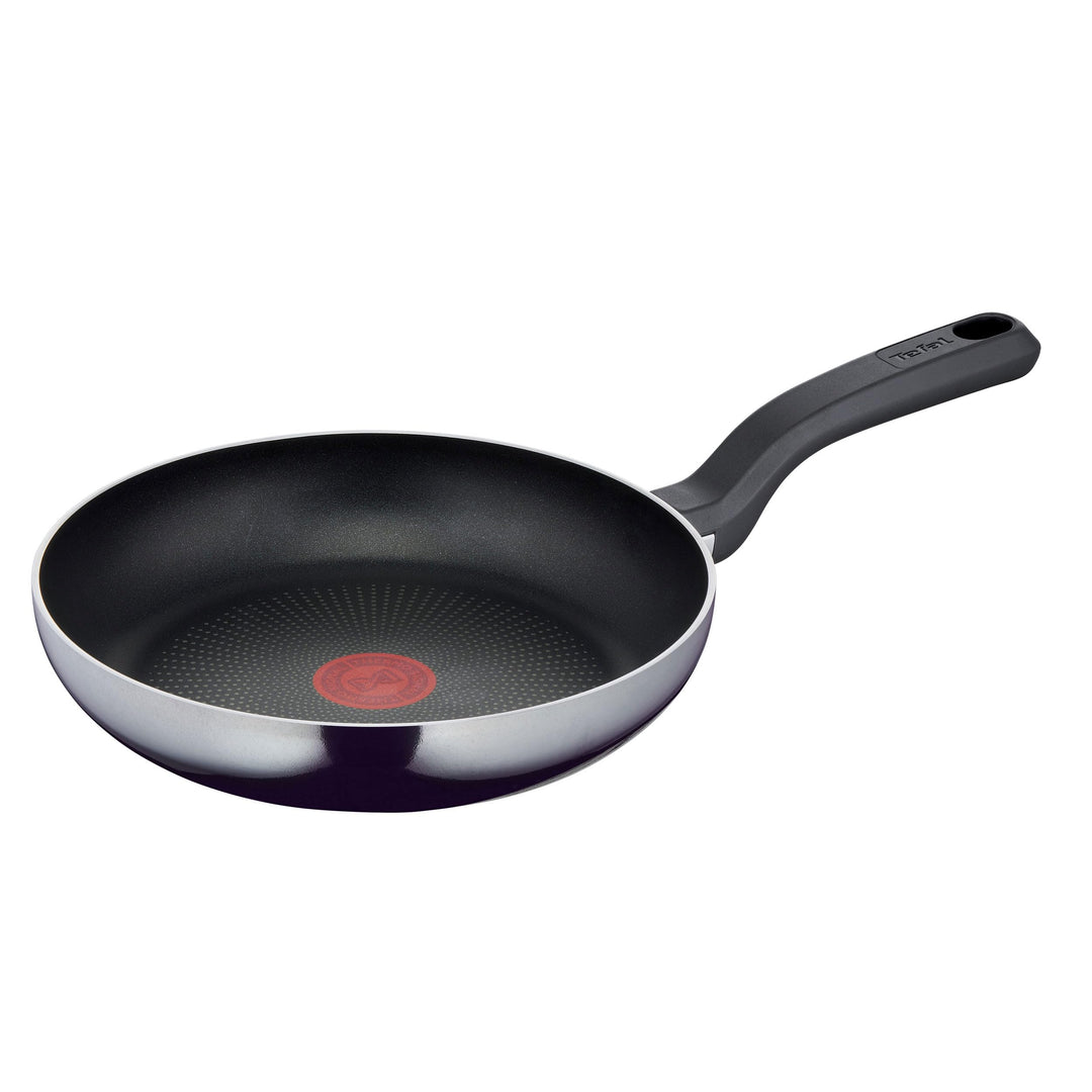 Tefal Resist Bratpfanne 24 cm beschichtet, nicht induktionsgeeignet, Titanium Antihaftversiegelung,