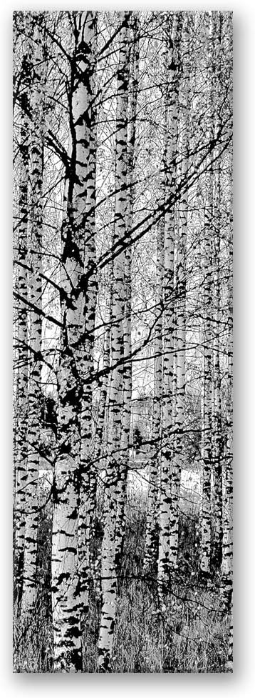 Feeby Leinwand Bilder - Natur - Wald - 50x150 cm- Deko Wohnzimmer - Wandbilder Schlafzimmer - Deko A