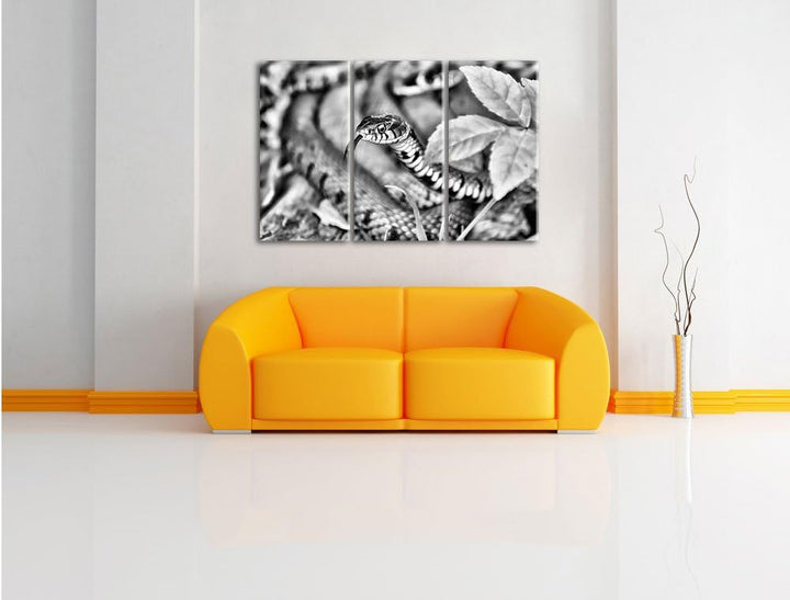 Pixxprint beeindruckende Schlange als Leinwandbild | Grösse: 3 Teilig (120x80) | Wandbild| Kunstdruc