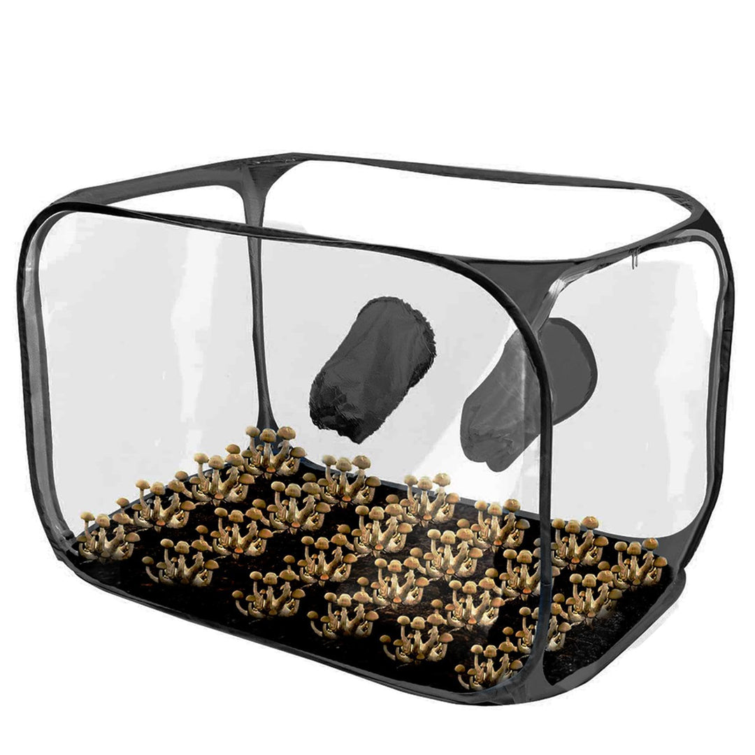 Pilzzuchtzelt, Pilz Zuchtbox, Pop Up Pilzzuchtbeutel, Mushroom Still Air Box, Faltbare Wachstumsbehä