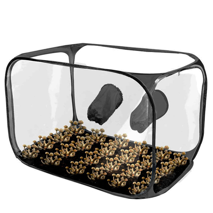 Pilzzuchtzelt, Pilz Zuchtbox, Pop Up Pilzzuchtbeutel, Mushroom Still Air Box, Faltbare Wachstumsbehä