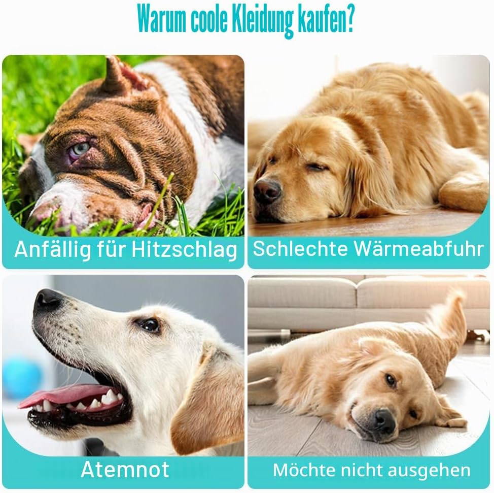 Hunde Kühlweste, Hundekühljacke Hundekühlmantel mit Verstellbarer Schnalle für Outdoor Jagdtraining,