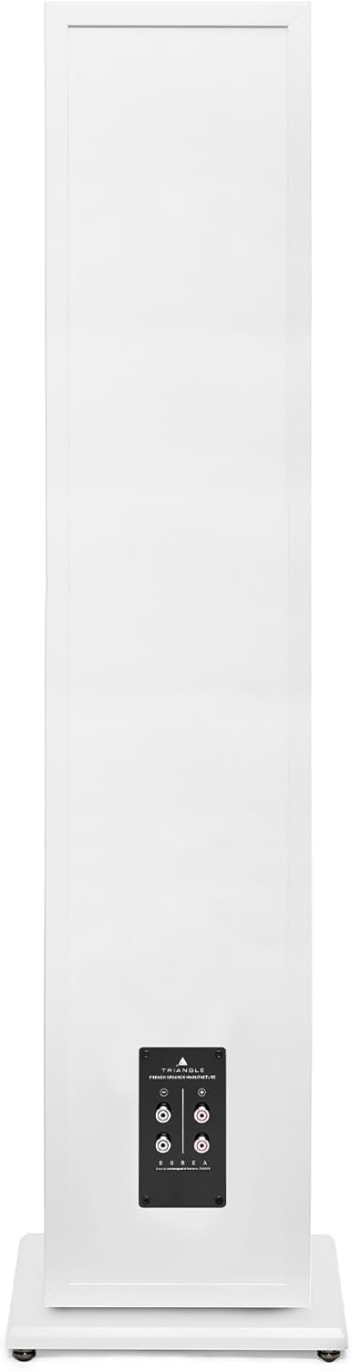 TRIANGLE - BOREA BR10 Hi-Fi Standlautsprecher - Belastbarkeit 200W - Leistung 92 dB/W/m - 21 cm Laut