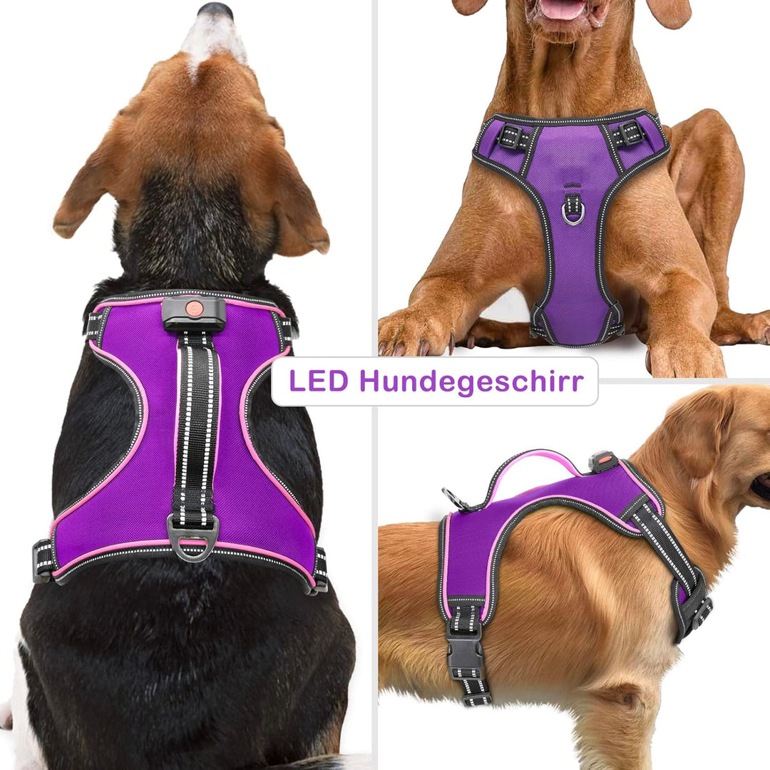 Hundegeschirr Leuchtend Wiederaufladbares Leuchtgeschirr für Hunde Led Beleuchtetes Hundegeschirr fü