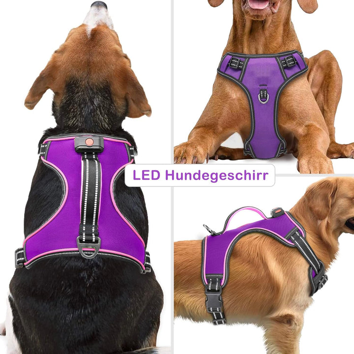 Hundegeschirr Leuchtend Wiederaufladbares Leuchtgeschirr für Hunde Led Beleuchtetes Hundegeschirr fü