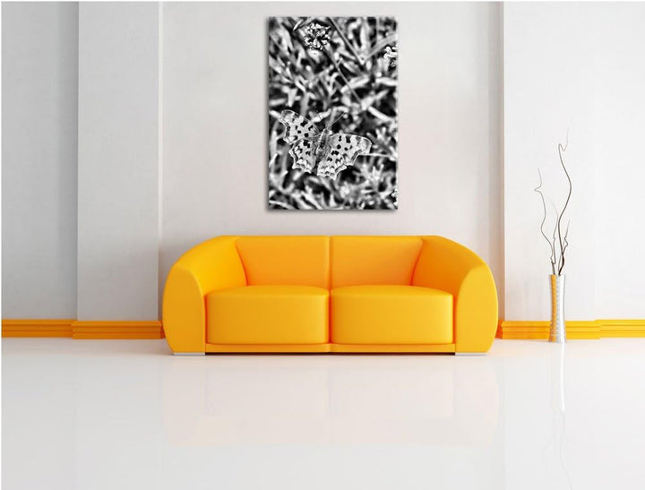 Pixxprint Monocrome, schöner Schmetterling auf Blumenwiese, Format: 100x70 auf Leinwand, XXL riesige