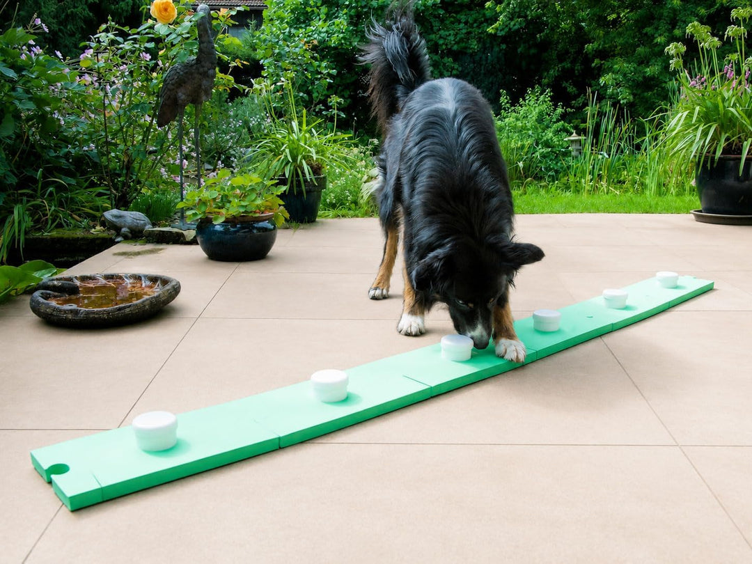 Schnüffelspass Supernasen-Set für Hunde (grosse und kleine) Hundetraining, Obedience, Hundesport, Do