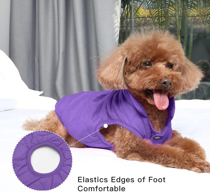 Fleece Hundejacke für Winter kaltes Wetter, Extra Weicher Hundemantel für Kleine Hunde, Winddichte W