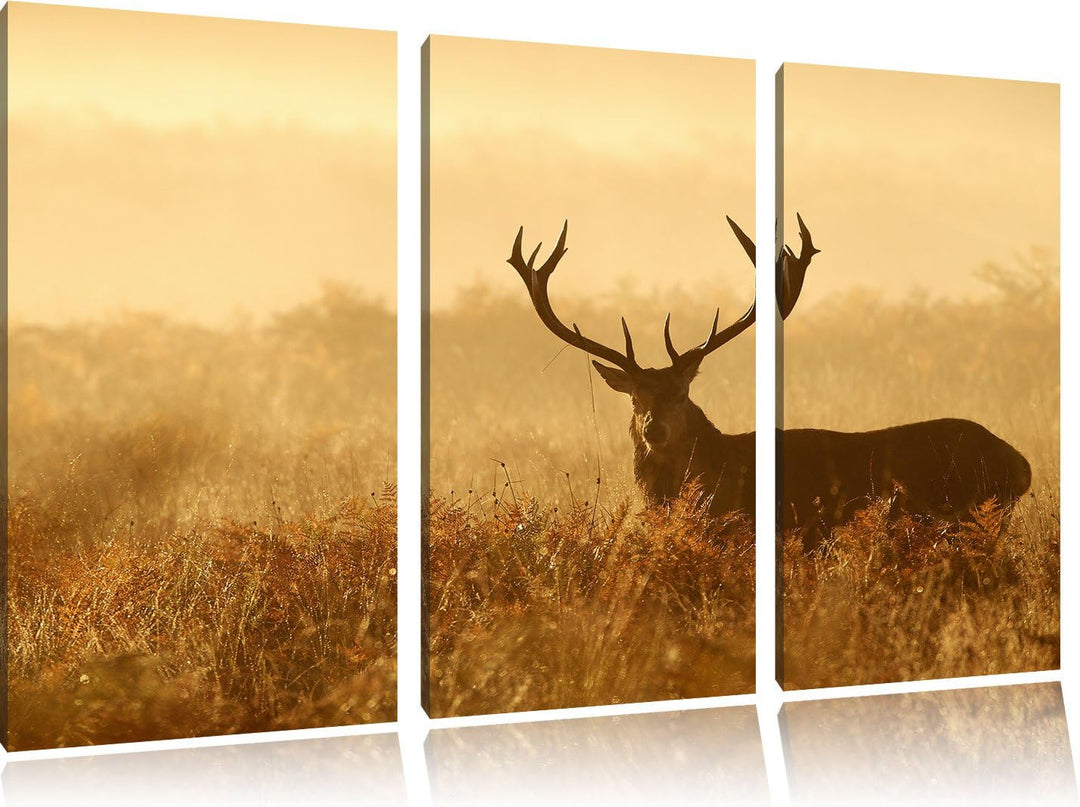 Pixxprint Rotwild Hirsch in Abenddämmerung 3-Teiler Leinwandbild 120x80 Bild auf Leinwand
