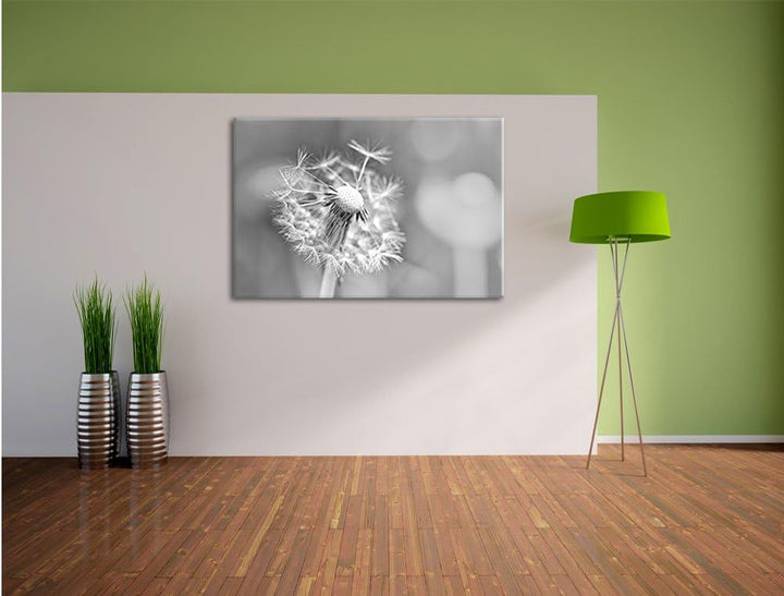 Pixxprint Löwenzahn als Leinwandbild/Grösse: 100x70 cm/Wandbild/Kunstdruck/fertig bespannt, 100x70