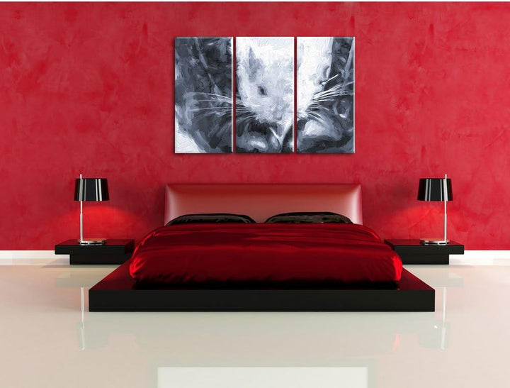 Pixxprint Chinchilla zwischen Schuhen als Leinwandbild/Grösse: 3 Teilig (120x80) cm/Wandbild/Kunstdr