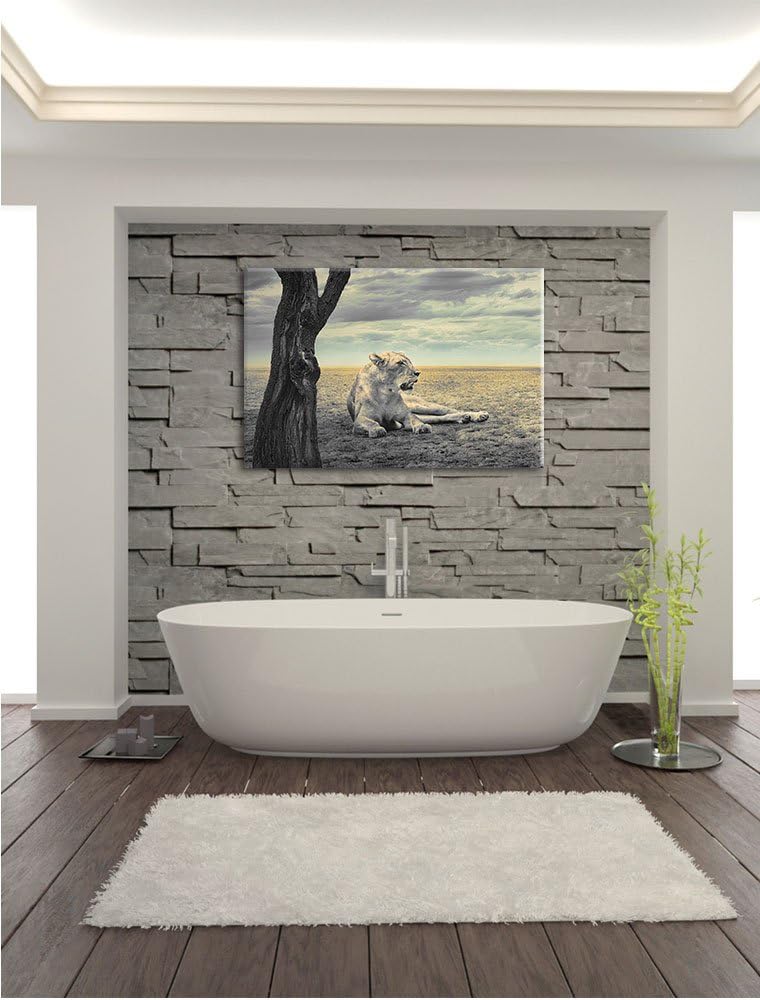 Pixxprint Löwin Ruhe Savanne als Leinwandbild/Grösse: 100x70 / Wandbild/Kunstdruck/fertig bespannt,