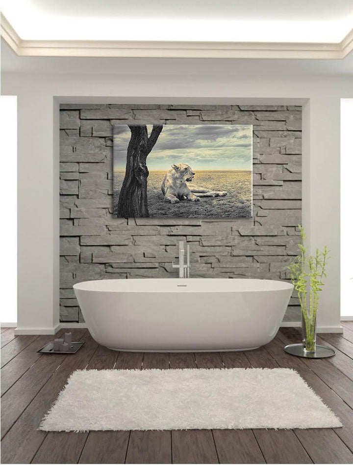 Pixxprint Löwin Ruhe Savanne als Leinwandbild/Grösse: 100x70 / Wandbild/Kunstdruck/fertig bespannt,