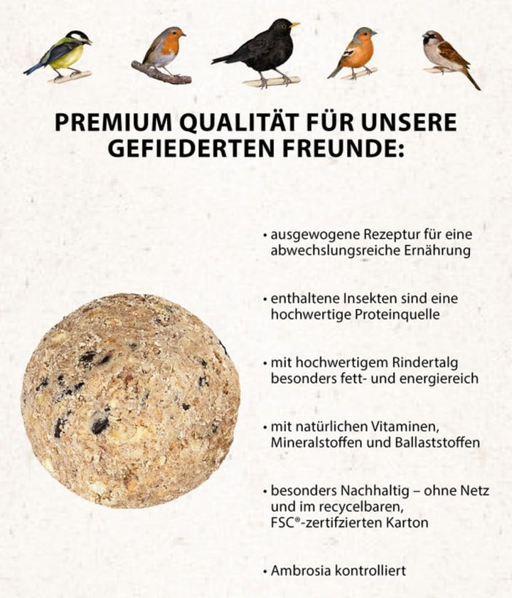 Dehner Natura Premium Meisenknödel ohne Netz, Insektenknödel, ganzjähriges Wildvogelfutter proteinre