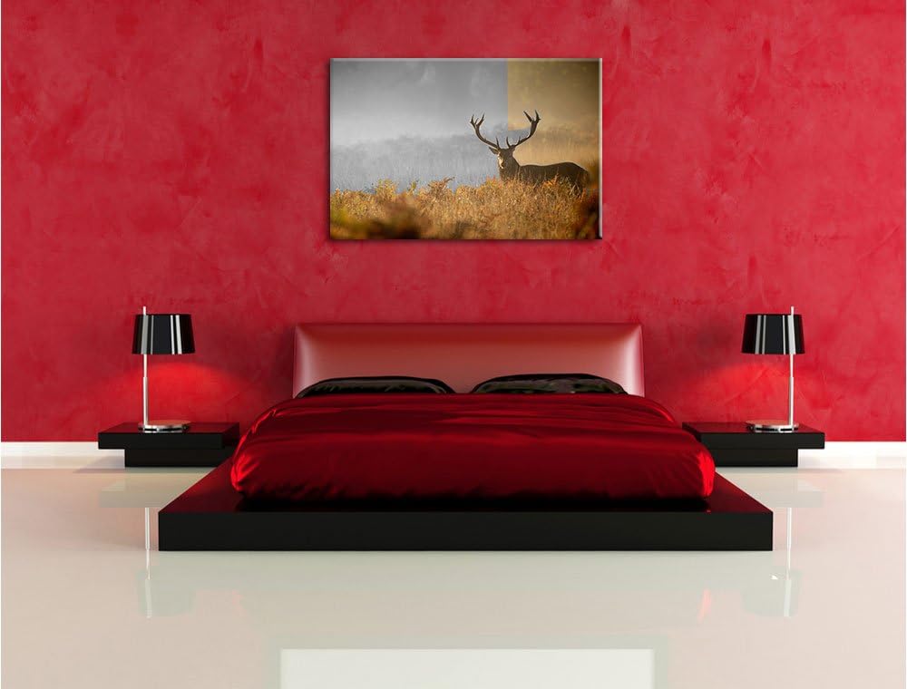 Pixxprint Rotwild Hirsch im Nebel als Leinwandbild/Grösse: 100x70 / Wandbild/Kunstdruck/fertig bespa