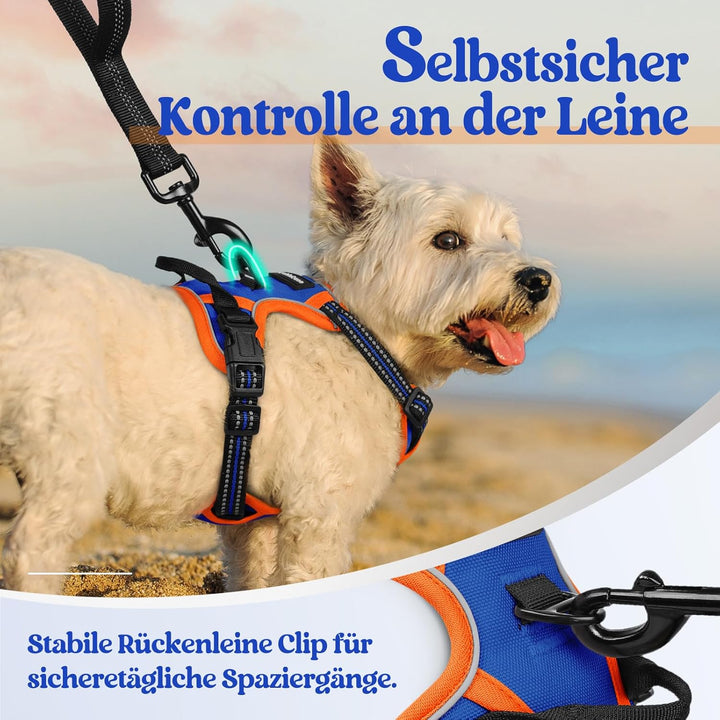 rabbitgoo Hundegeschirr Kleine Hunde Anti Zug Geschirr Hund mit Kontrolle No Pull Verstellbar Hundeg