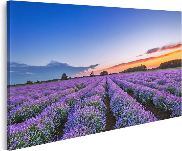 islandburner Bild auf Leinwand Sonnenaufgang Und Dramatische Wolken Über Lavendelfeld Bilder Wandbil