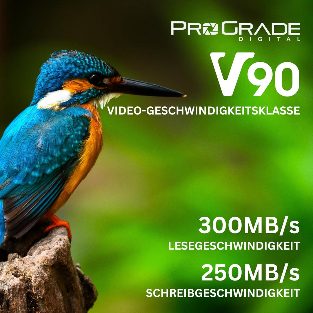 SD UHS-II 512 GB Karte V90 - Bis zu 250MB/s Schreibgeschwindigkeit und 300MB/s Lesegeschwindigkeit |