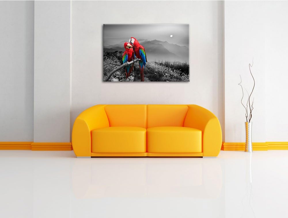 süsse Papageien auf Ast schwarz/weiss Format: 100x70 auf Leinwand, XXL riesige Bilder fertig gerahmt