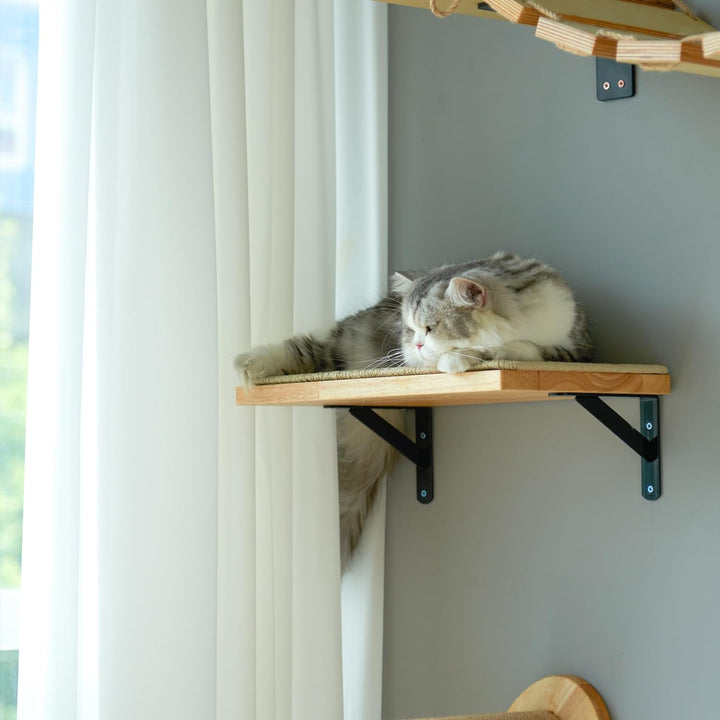 FUKUMARU Kletterwand Katzen, Katzenbett Wand aus 2cm dickem massivem Gummiholz mit widerstandsfähige
