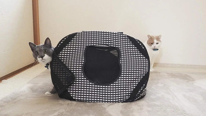 Necoichi Ultralite Transportbox für Katzen, 0,45 kg schwarz Träger, schwarz Träger